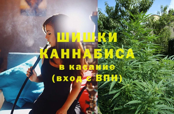 сатива Лабытнанги