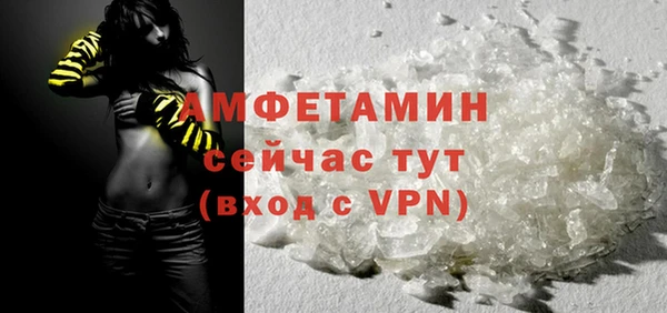 сатива Лабытнанги