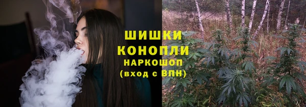 сатива Лабытнанги