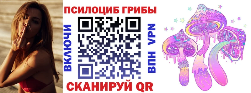 Галлюциногенные грибы Cubensis  Лысково 